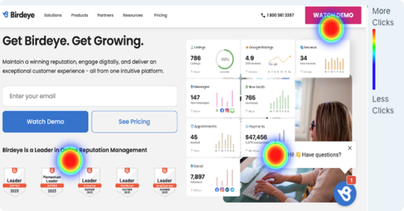 User interface of a Birdseye website showcasing analytics and feedback capture for concept testing.
